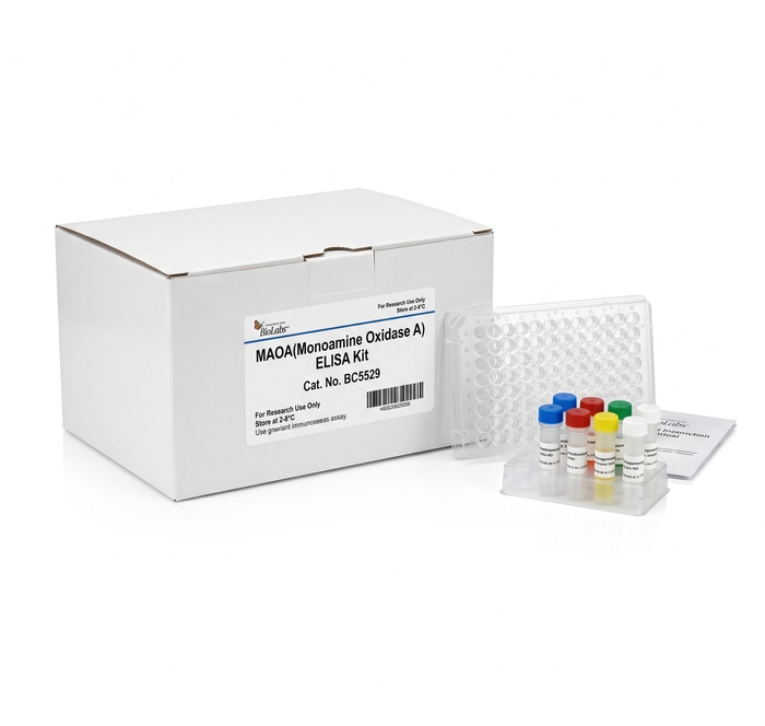 MAOA ELISA Kit BC5529 96 Test Quantitative Assay