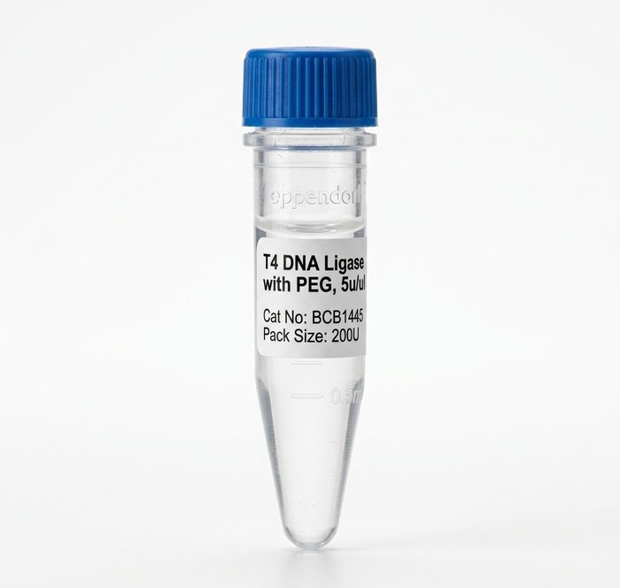 T4 DNA Ligase with PEG 5u/ul BCB1445 Molecular Biology Grade