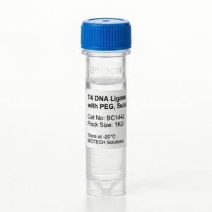 T4 DNA Ligase with PEG, 5u/ul 1KU