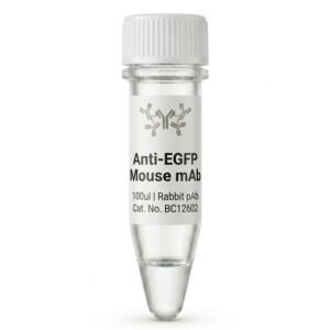 Anti-EGFP Mouse Monoclonal Antibody 100ul
