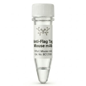Anti-Flag Tag Mouse Monoclonal Antibody 100ul BC12938