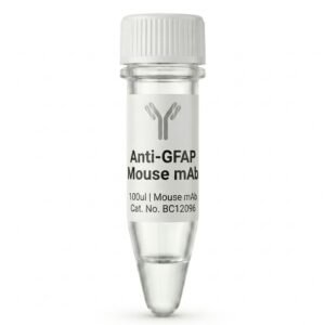 BC12096 Anti-GFAP Mouse Monoclonal Antibody 100ul