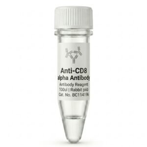 Anti-CD8 alpha Rabbit pAb 100ul