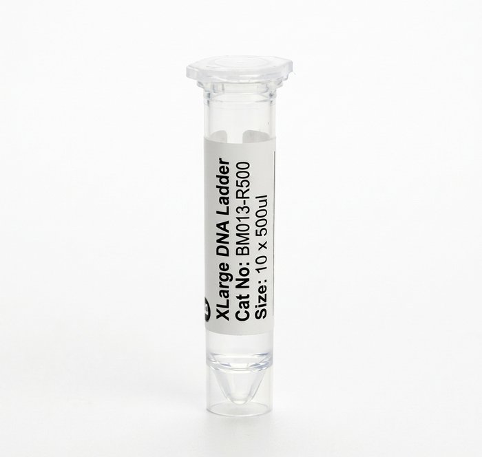 BM013-R500 XLarge DNA Ladder 10 x 500ul Pack