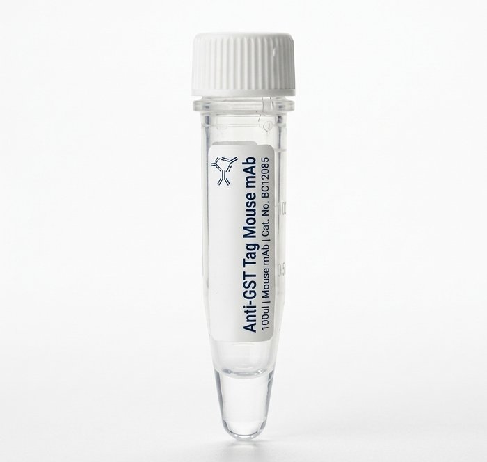 BC12085 Anti-GST Tag Mouse Monoclonal Antibody 100ul