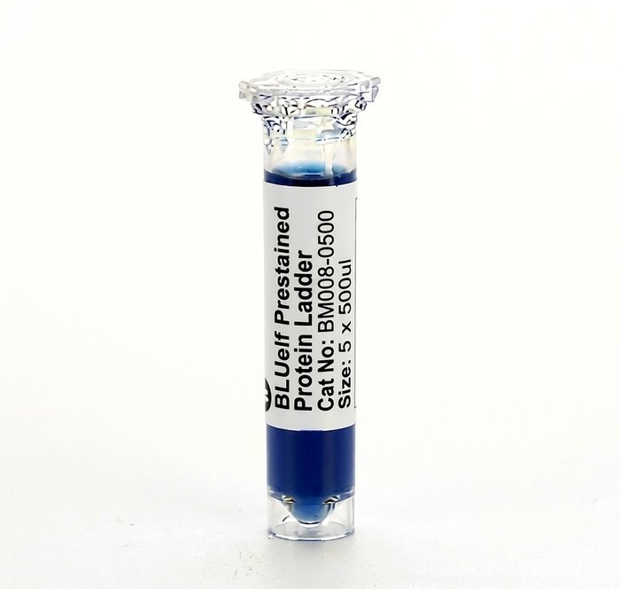 Protein Electrophoresis Reagents
