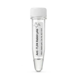 Anti-TLR4 Rabbit Polyclonal Antibody 100ul BC11519