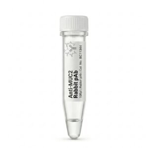 Anti-MUC2 Rabbit Polyclonal Antibody 100ul BC11344