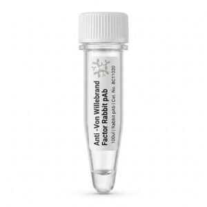 Anti-Von Willebrand Factor Rabbit pAb BC11020