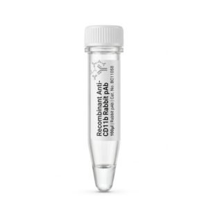 Anti-CD11b Rabbit Polyclonal Antibody 100ul BC11058
