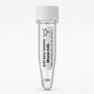 Anti-beta Catenin Mouse mAb 100ul BC12015