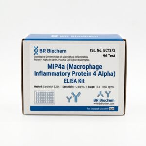 MIP4a ELISA Kit BC1372 96 Test Human Mouse