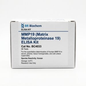 MMP19 ELISA Kit - High Sensitivity Assay (96 Tests)