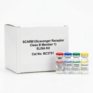 SCARB1 ELISA Kit - Human and Mouse Detection - 96 Test