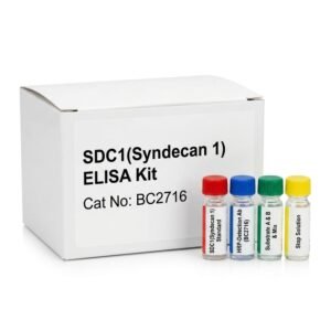 SDC1 Syndecan 1 ELISA Kit - 96 Test Research Assay