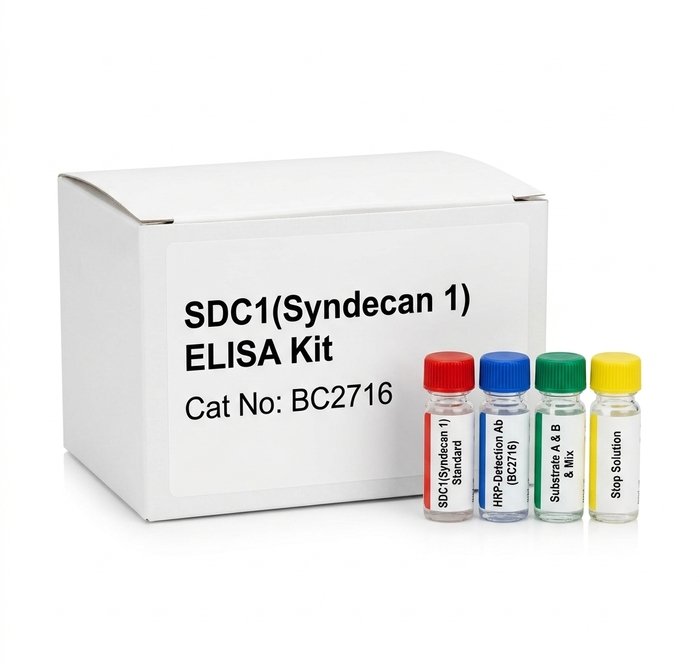 SDC1 Syndecan 1 ELISA Kit - 96 Test Research Assay