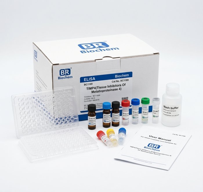 BC1189 TIMP4 ELISA Kit 96 Test High Sensitivity Assay
