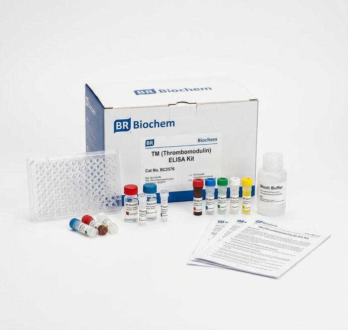 BC2576 TM Thrombomodulin ELISA Kit 96 Test