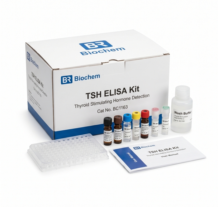 BC1163 TSH ELISA Kit 96 Test for Human Rat Mouse Cattle