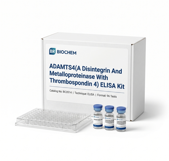 ADAMTS4 ELISA Kit BC3514 96 Test Human Rat Rabbit