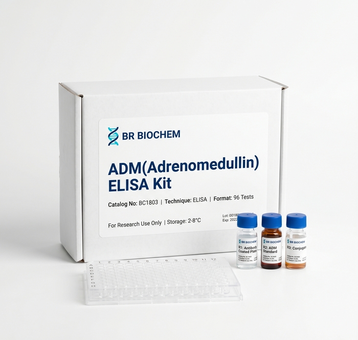 BC1803 ADM Adrenomedullin ELISA Kit 96 Test