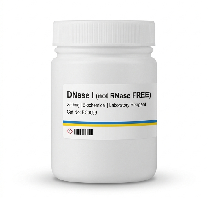 BC0099 DNase I Enzyme for Molecular Biology Labs