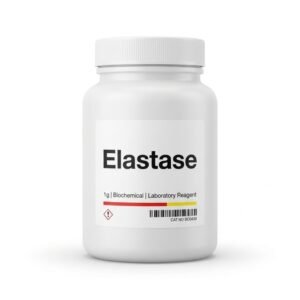 BC0438 Elastase Enzyme High Purity Research Reagent