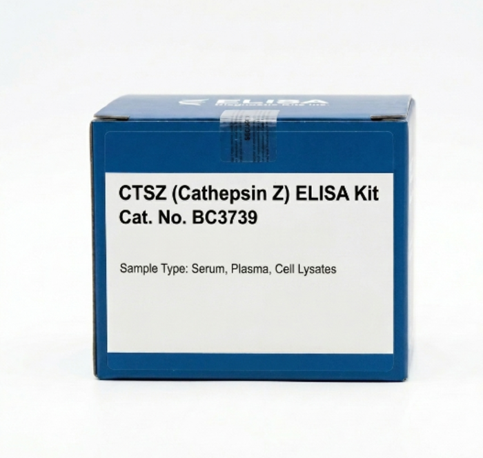 BC3739 CTSZ ELISA Kit Human Mouse