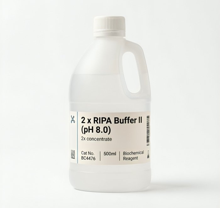 RIPA Buffer II 2x Concentrate pH 8.0 BC4476