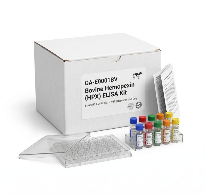 Bovine Hemopexin HPX ELISA Kit 96 Tests