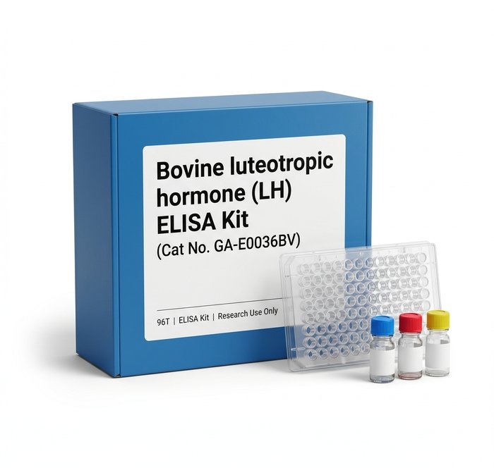 Bovine Luteotropic Hormone LH ELISA Kit 96 Test GA-E0036BV