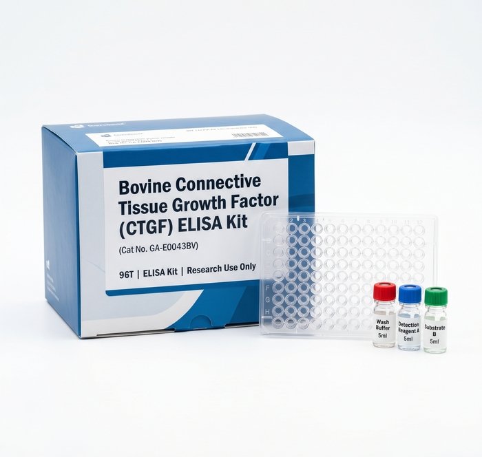 Bovine CTGF ELISA Kit 96Test GA-E0043BV