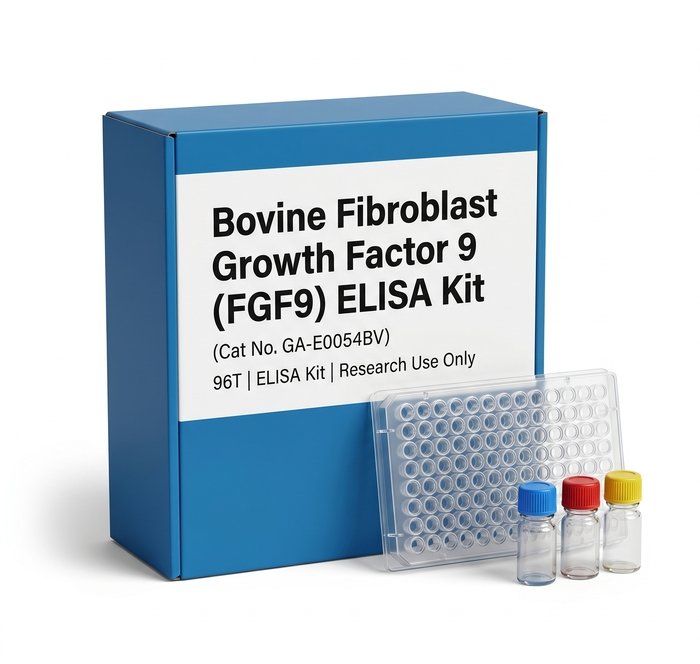 Bovine FGF9 ELISA Kit 96 Tests GA-E0054BV