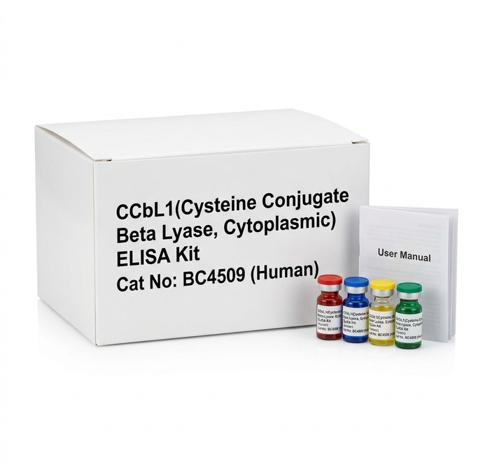 Human CCbL1 ELISA Kit BC4509 96-Test Immunoassay