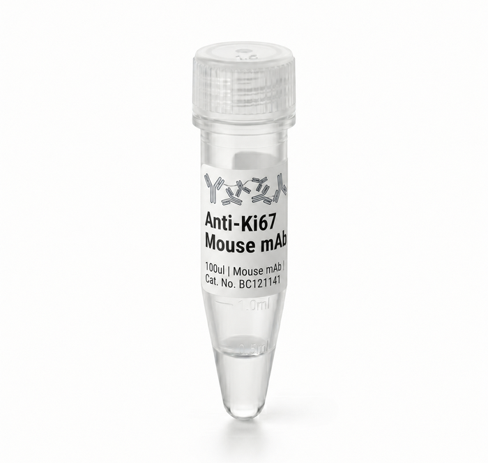 Research Antibodies