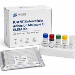 BC1033 ICAM1 ELISA Kit | High Sensitivity Assay