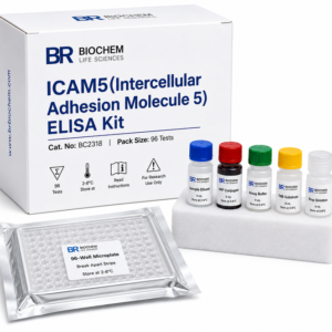 BC2318 ICAM5 ELISA Kit 96 Test