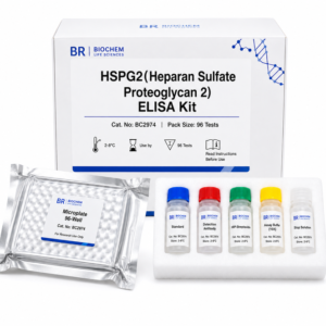 HSPG2 ELISA Kit BC2974 - Human and Mouse Detection