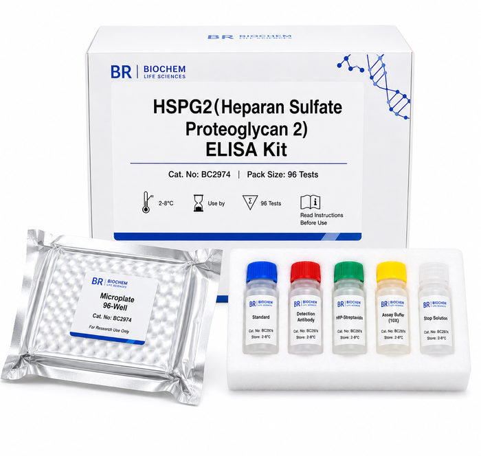 HSPG2 ELISA Kit BC2974 - Human and Mouse Detection