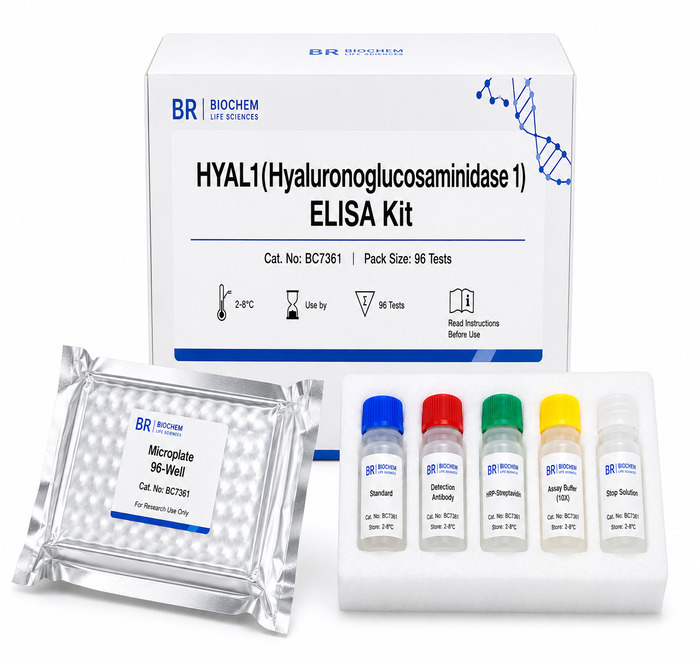 BC7361 HYAL1 ELISA Kit - Human, Rat, Cattle
