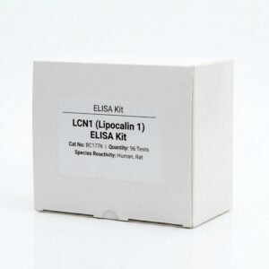 BC1776 LCN1 Lipocalin 1 ELISA Kit - 96 Test