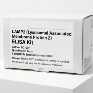 BC1992 LAMP2 ELISA Kit for Human and Rabbit Samples