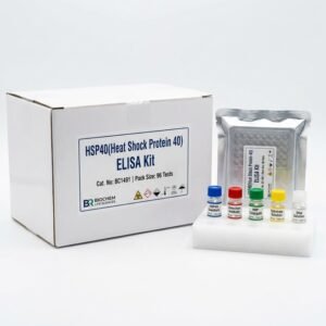 BC1491 HSP40 ELISA Kit 96 Test for Human and Mouse