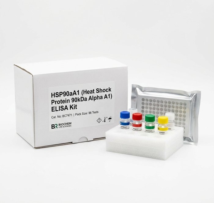 Molecular Biology Assays