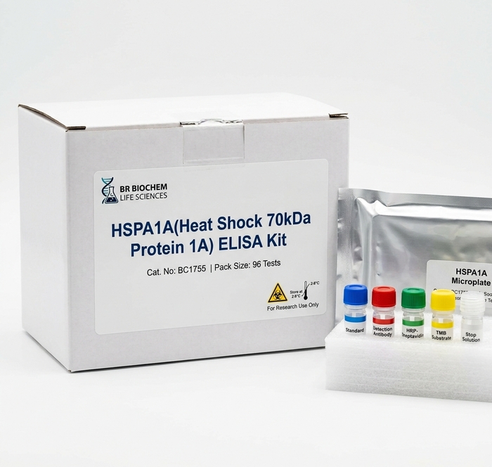BC1755 HSPA1A ELISA Kit 96 Test