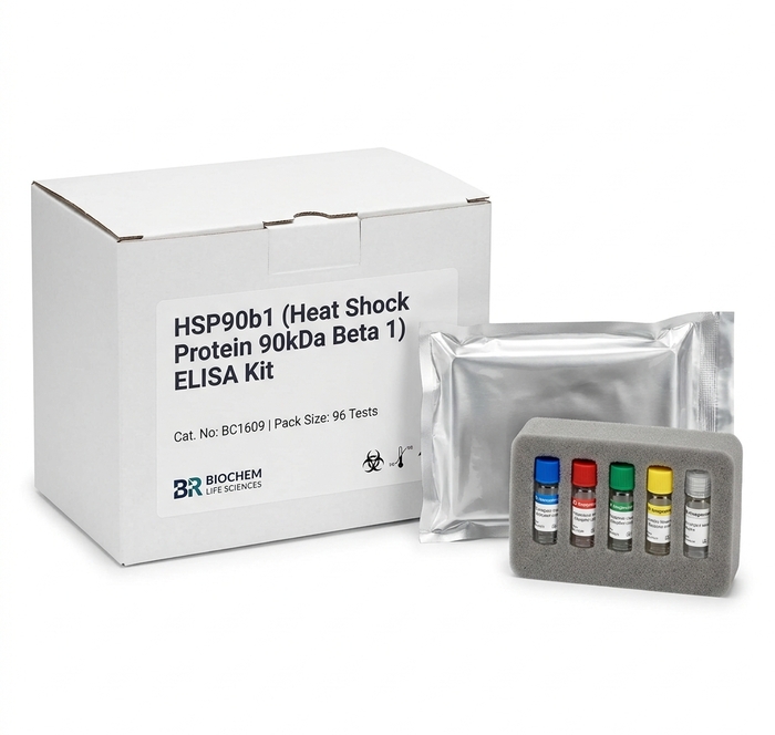 HSP90b1 ELISA Kit BC1609 96 Test Human Rat Mouse Cattle