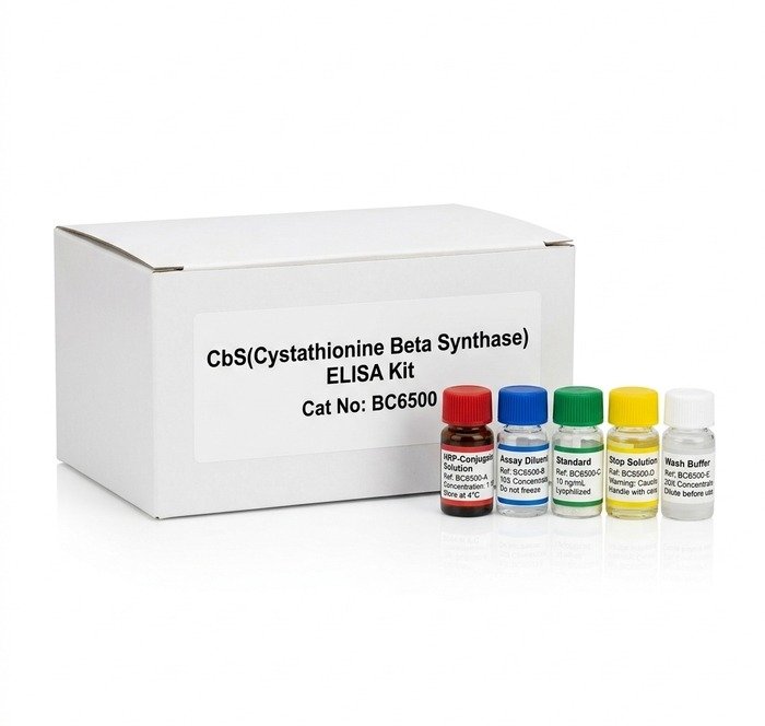 BC6500 Mouse Cystathionine Beta Synthase ELISA Kit 96 Test