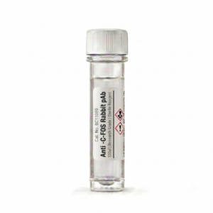 Anti-c-Fos Rabbit Polyclonal Antibody BC11069 100ul