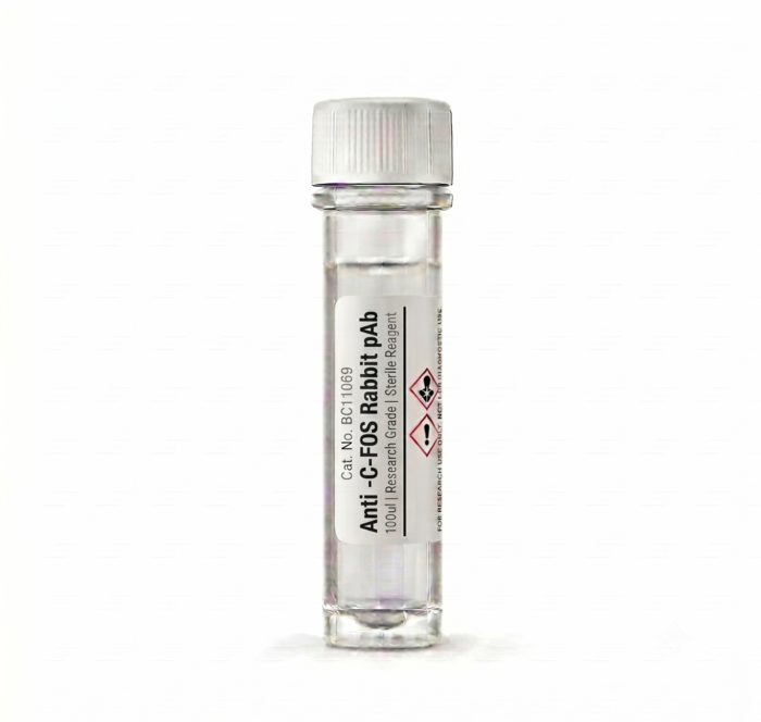 Anti-c-Fos Rabbit Polyclonal Antibody BC11069 100ul