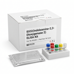 Mouse IDO2 ELISA Kit BC6981 - 96 Test Pack